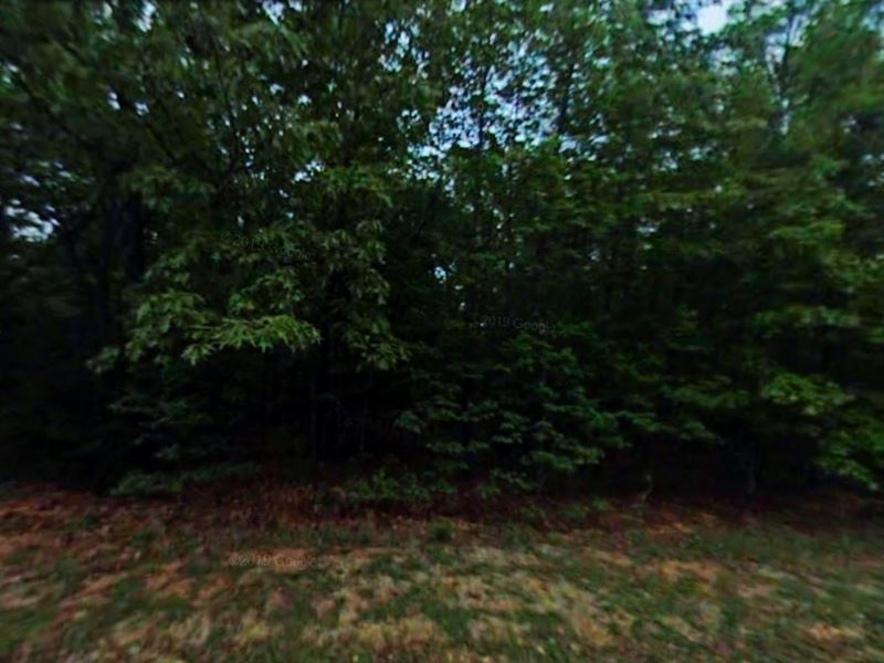 .46 Acres Lot Proximity to Lake : Horseshoe Bend : Izard County : Arkansas
