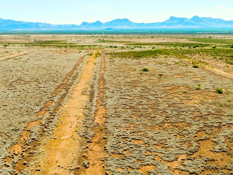 Near Airport & Highway : Douglas : Cochise County : Arizona