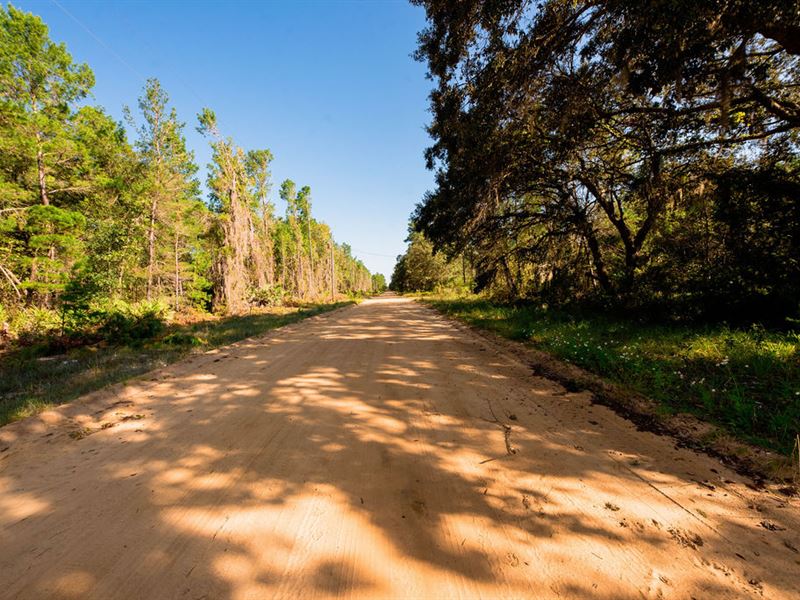 Explore Your Recreational Paradise : Interlachen : Putnam County : Florida