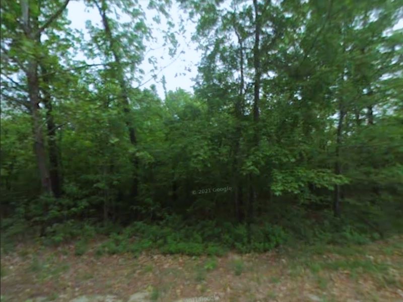 .37 Acre Gem Near Crown Lake : Horseshoe Bend : Izard County : Arkansas