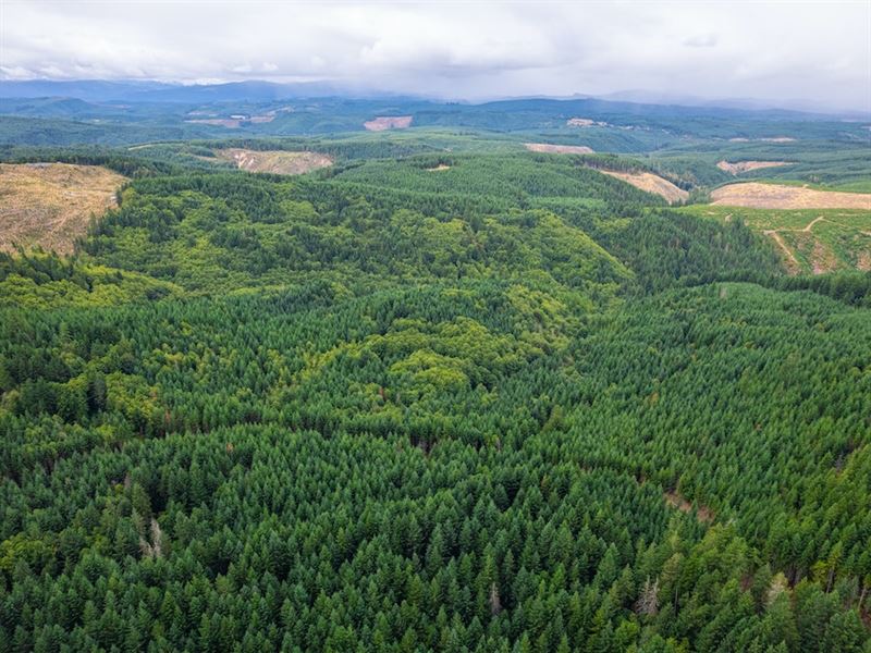 155.30 Acres in Vernonia, Oregon : Vernonia : Baker County : Oregon