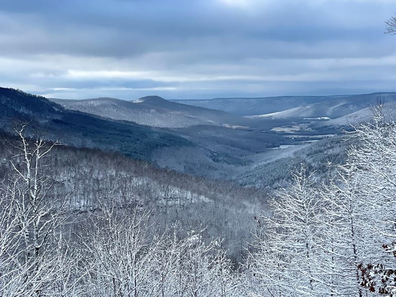 48.7 Acres Beautiful Mountain Vie : South Pittsburg : Marion County : Tennessee