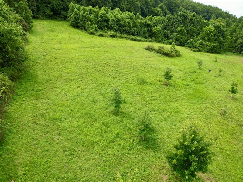 Crabapple Ln, Fayette County, 15 : Perryopolis : Fayette County : Pennsylvania