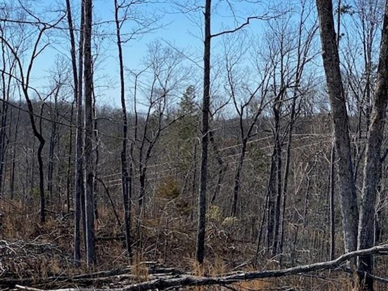 12.24 Acres Centrally Located Bet : Decatur : Meigs County : Tennessee
