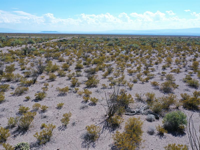 Remote 20 Acres with Easy Access : Adobes : Presidio County : Texas