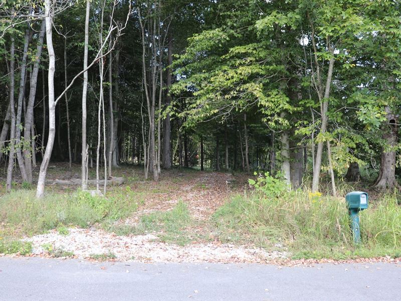 Wooded Homesite : Tompkinsville : Monroe County : Kentucky