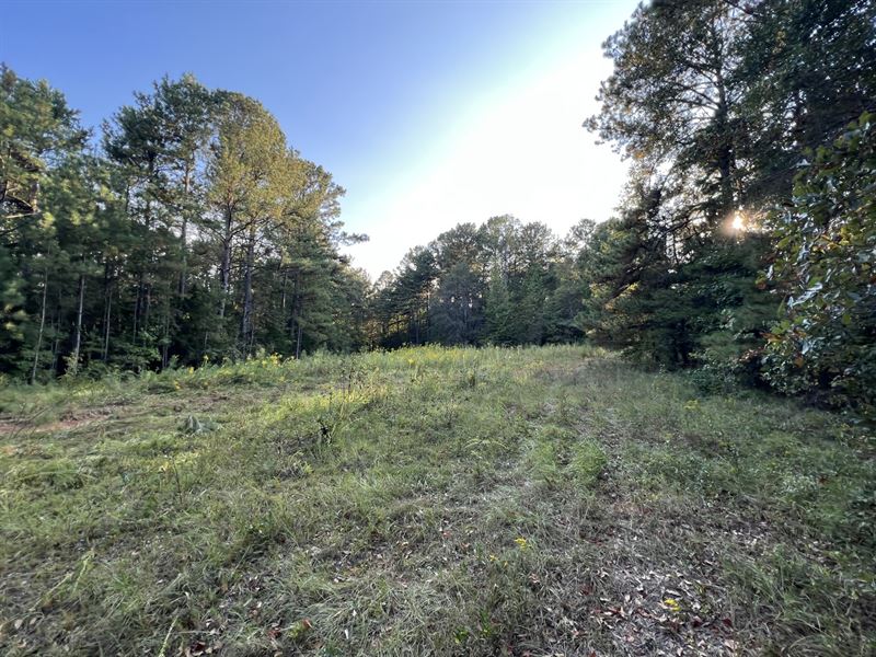12.52 Ac, Mini Farm,Waverly AL : Camp Hill : Tallapoosa County : Alabama