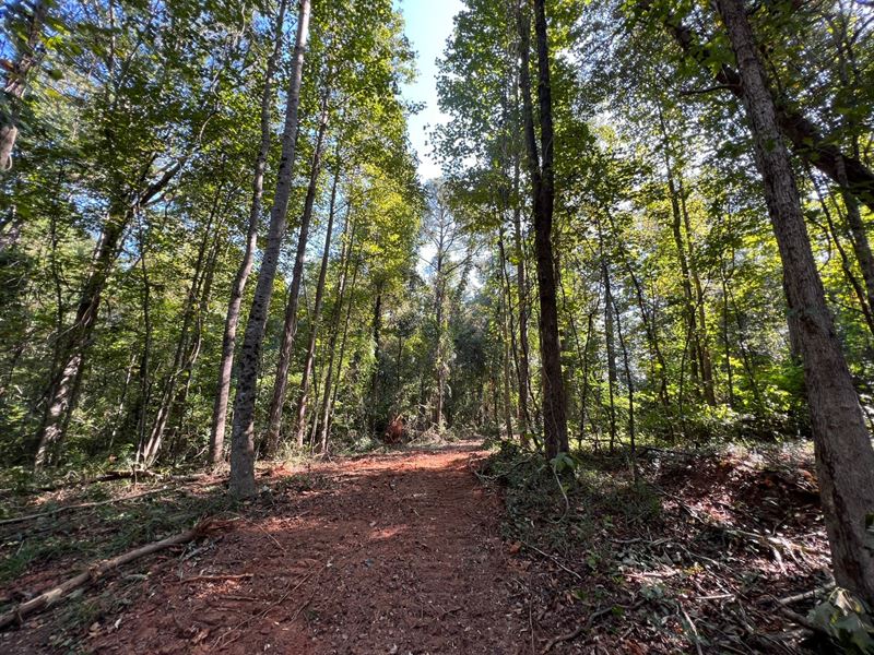 8.19 Ac, Mini Farm, Waverly AL : Camp Hill : Tallapoosa County : Alabama