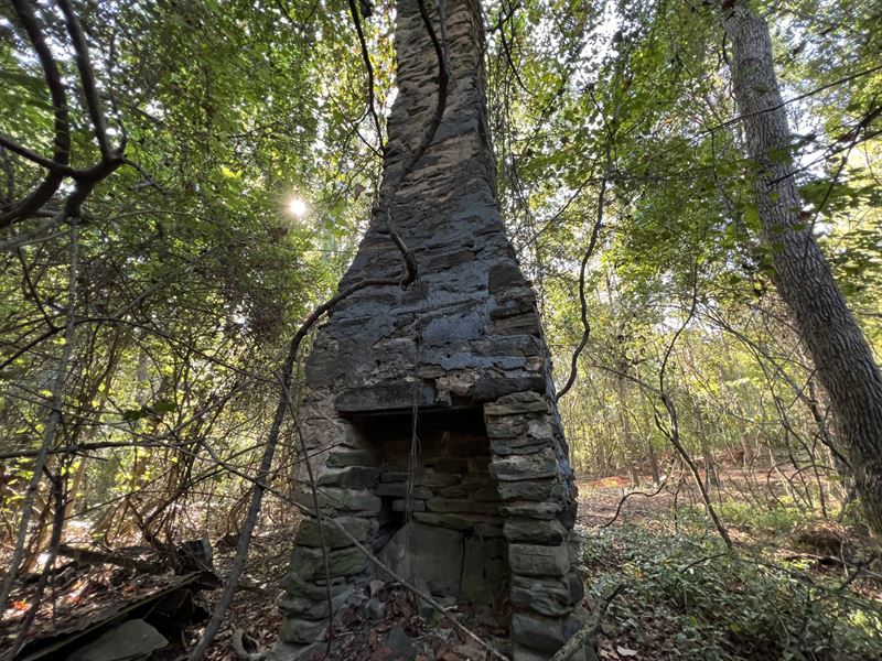 10.87 Ac Mini Farm, Waverly AL : Camp Hill : Tallapoosa County : Alabama