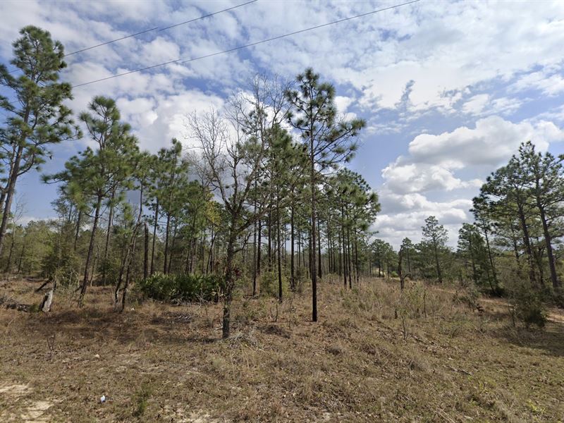 Interlachen's 0.13 Acre Retreat : Interlachen : Putnam County : Florida