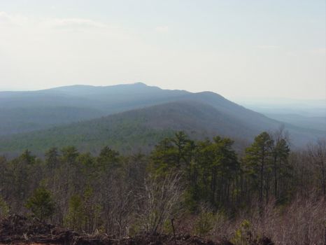 716 Ac Mountain Top-Views for Miles : Summerville : Chattooga County : Georgia