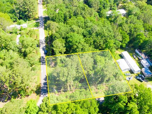 .29 Acre Corner Double Lot : Trinity : Texas