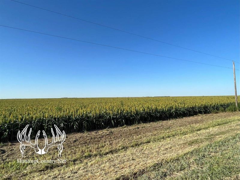 160 Acres M/L Ford County, Kansas : Bucklin : Ford County : Kansas