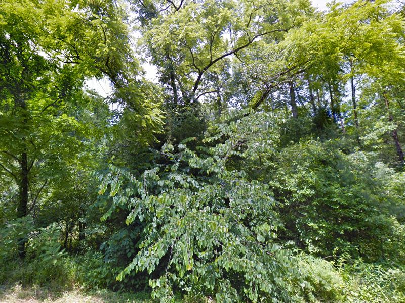 Tranquil Mountain Area : Morganton : Caldwell County : North Carolina