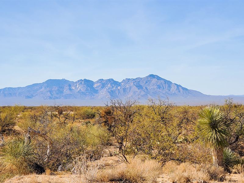 Summer's Winter Destination : Tucson : Pima County : Arizona