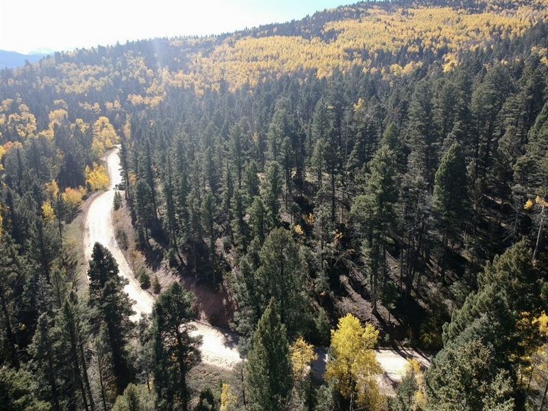 Up in The Pine and Aspen : San Luis : Costilla County : Colorado