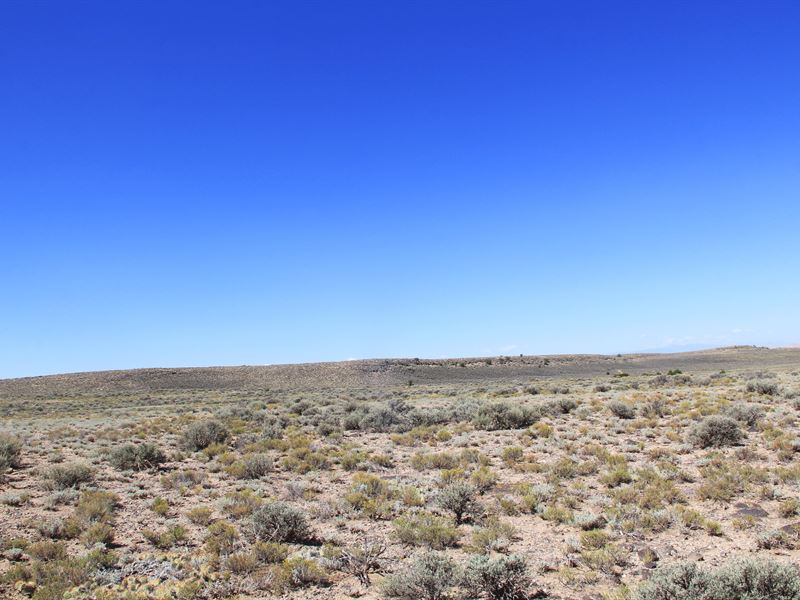 5 Acres of Pure Colorado Beauty : Blanca : Costilla County : Colorado