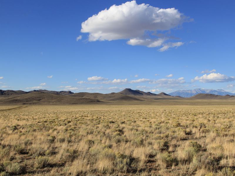 5 Acres in The Heart of Nature : San Acacio : Costilla County : Colorado
