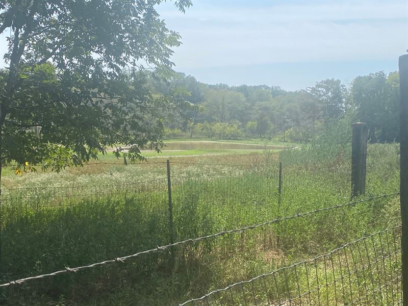 La, Morehouse 96 Acres : Mer Rouge : Morehouse Parish : Louisiana