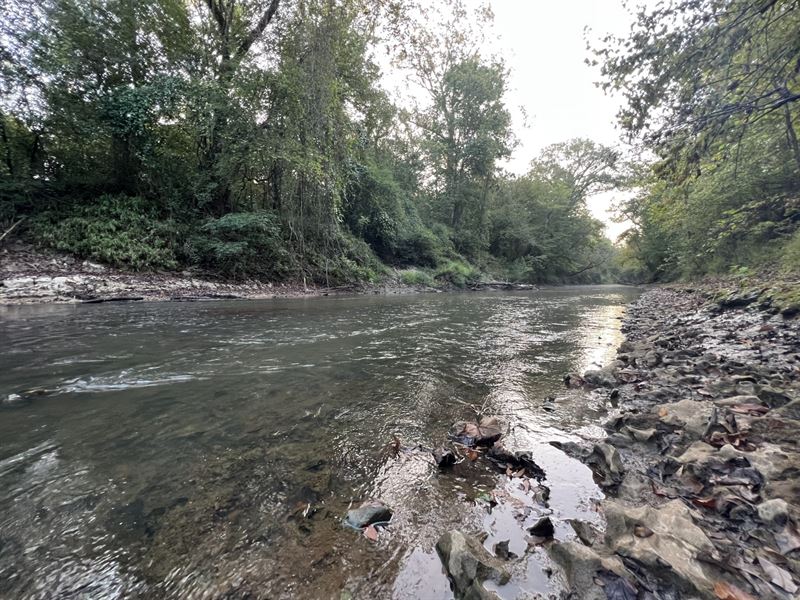 Pine Barren Creek Tract : Camden : Wilcox County : Alabama