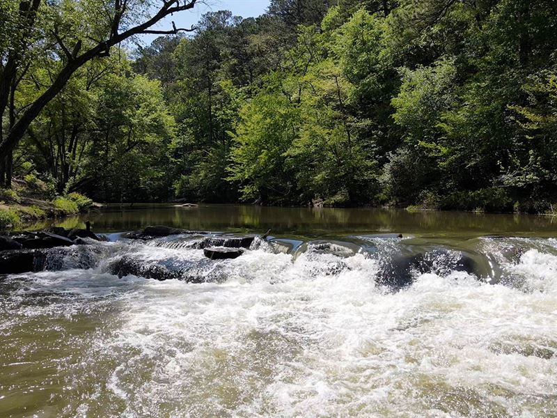 Waterfront Property Liquidation : Jasper : Walker County : Alabama