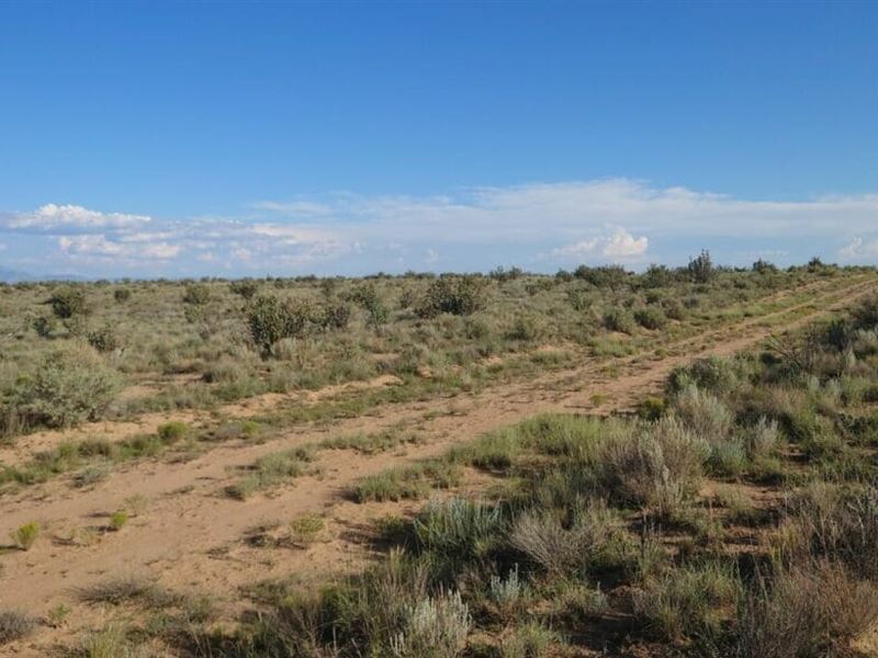 Off-Grid Living in The Desert : Rio Rancho : Sandoval County : New Mexico
