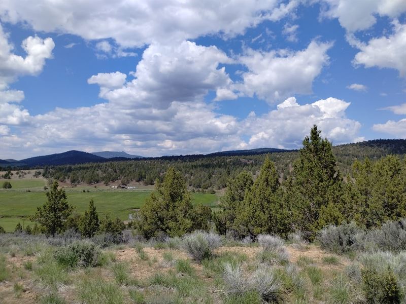 Private 63.86-Acre Retreat Borderin : Lakeview : Lake County : Oregon