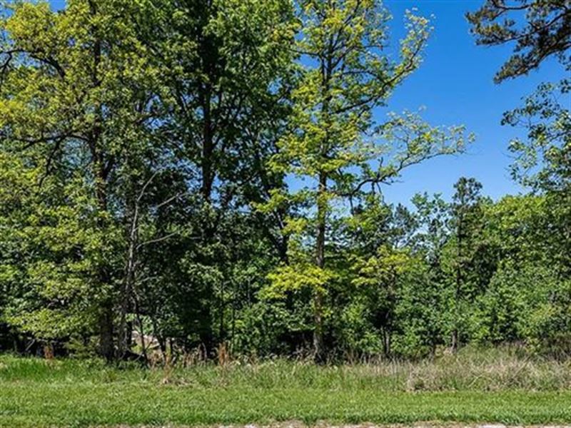 Rejuvenate and Reconnect in AR : Bella Vista : Benton County : Arkansas