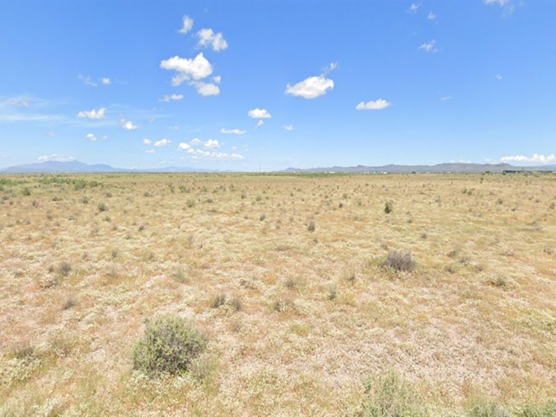 90-Day Same as Cash $450 Down/Mo : Deming : Luna County : New Mexico