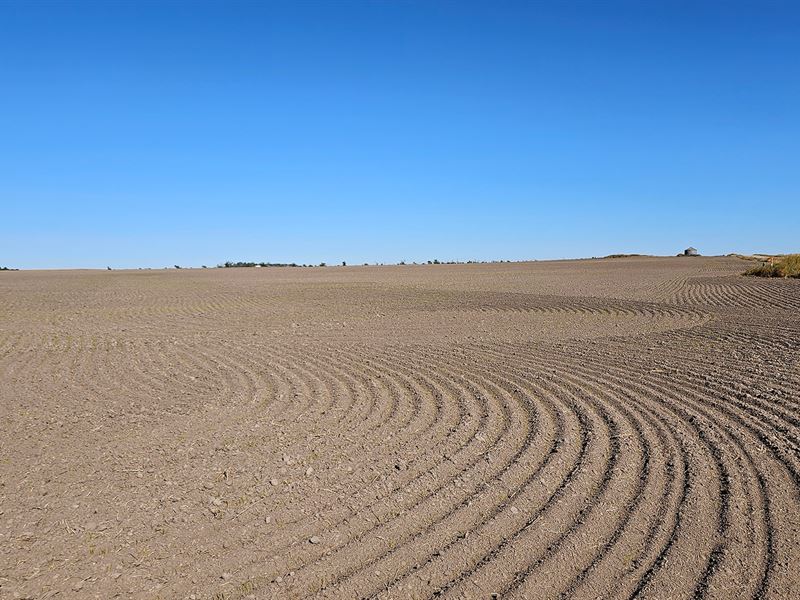 N Deuel County Dryland Quarter : Chappell : Deuel County : Nebraska
