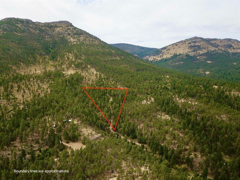 Prime Time Property : Wolf Creek : Lewis And Clark County : Montana