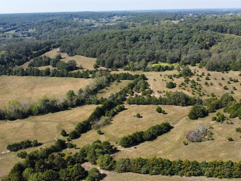 65 Acres in Laclede County Missouri : Conway : Laclede County : Missouri