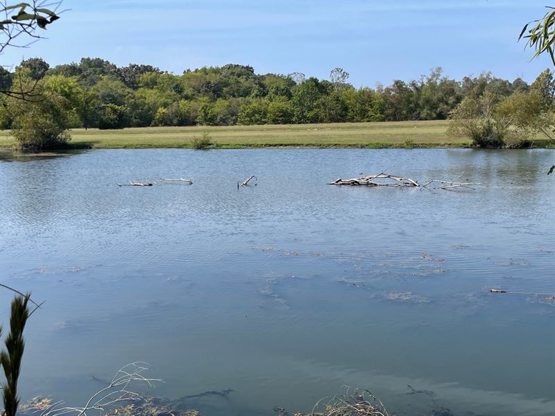 Beautiful Homesite Windhaven : Hope Hull : Lowndes County : Alabama