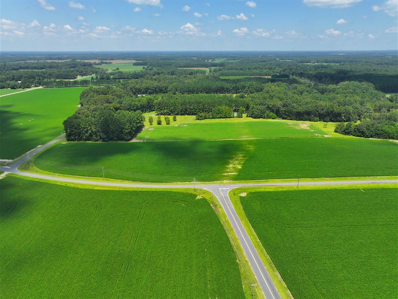 8 Acres in Orangeburg County, SC : Elloree : Orangeburg County : South Carolina