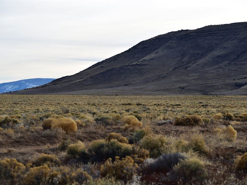 Next to Lobato Bridge & Rio Grande : Antonito : Costilla County : Colorado
