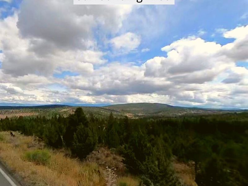 .83 Acre Only 30 Min to Alturas : Alturas : Modoc County : California