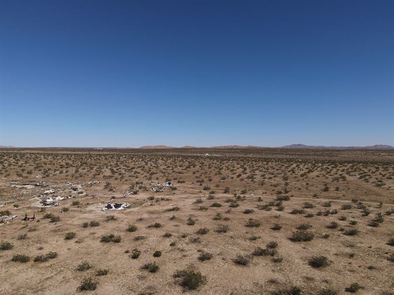 7.77 Acre Oasis in Lancaster, CA : Lancaster : Los Angeles County : California