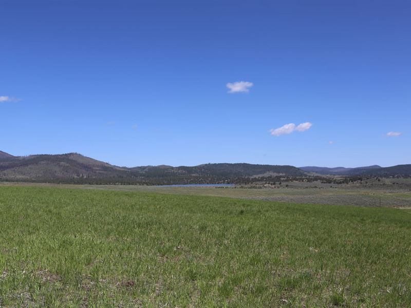 Unlock Endless Possibilities 10-Ac : Lakeview : Lake County : Oregon