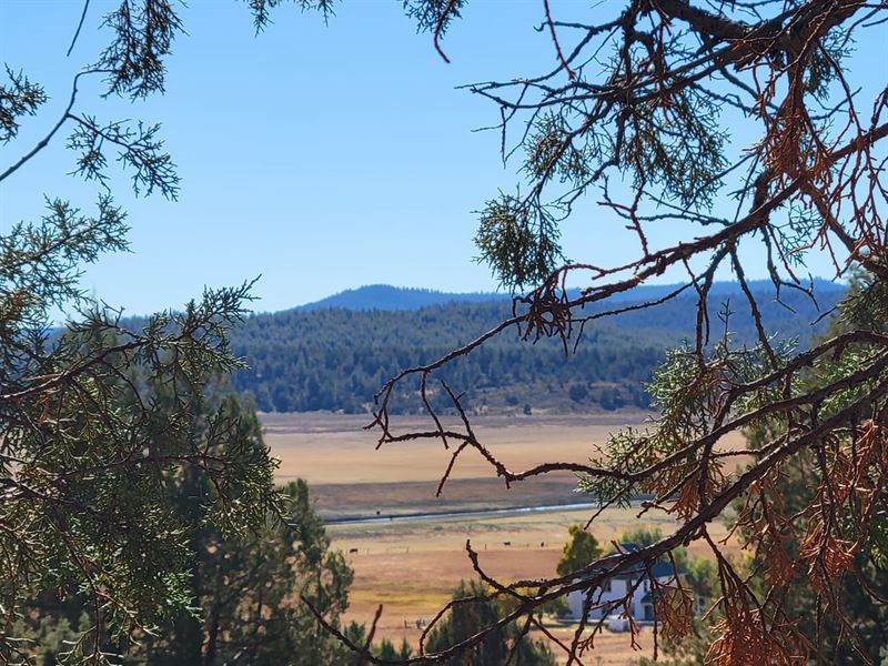 7.89 Acres in Drews Valley A Lands : Lakeview : Lake County : Oregon