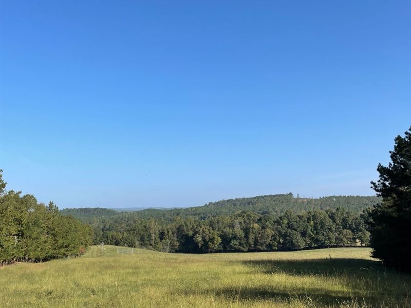 Millerville 42 Acres : Ashland : Clay County : Alabama