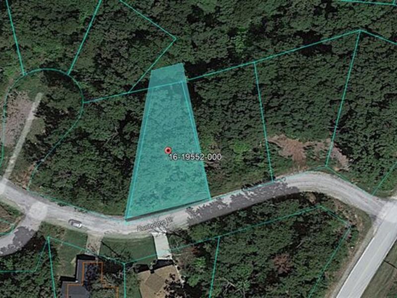 Get Back to Nature with 0.23 Acres : Bella Vista : Benton County : Arkansas