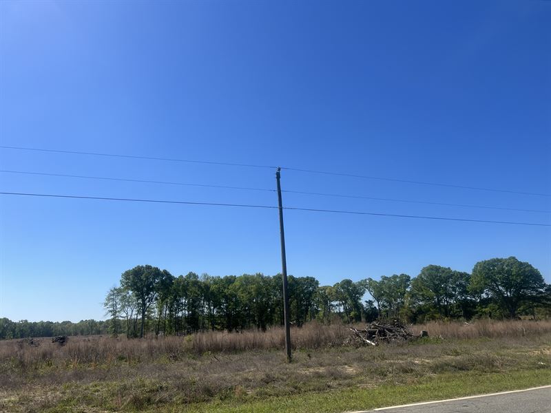 Land for Sale : Pineview : Pulaski County : Georgia