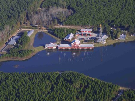 Flat Creek Holdin & Agri-buisnesses : Swainsboro : Emanuel County : Georgia