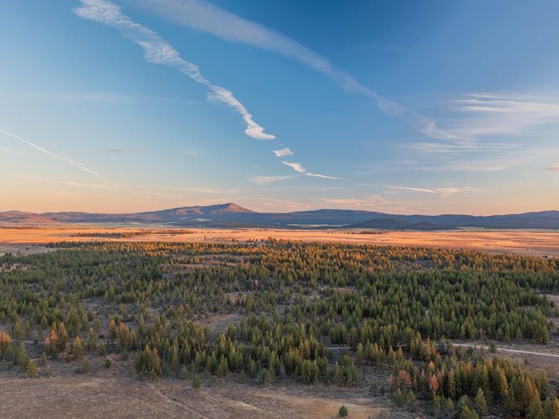 Beatty 257 : Beatty : Klamath County : Oregon