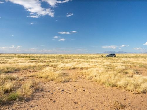 .25 Ac, Invest & Camp, Act Fast : Belen : Valencia County : New Mexico