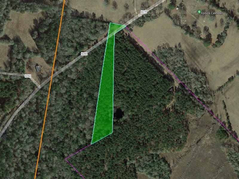 2.71 Acres in Houston County, TX : Lovelady : Houston County : Texas