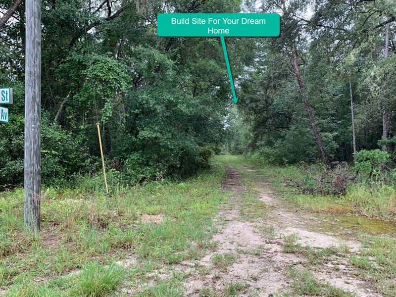 .22 Acre No HOA & Owner Financing : Fort McCoy : Marion County : Florida