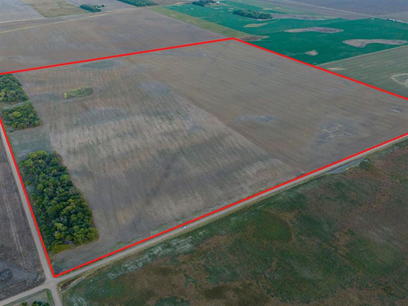 Stafford County Tillable Tract 6 : Stafford : Stafford County : Kansas