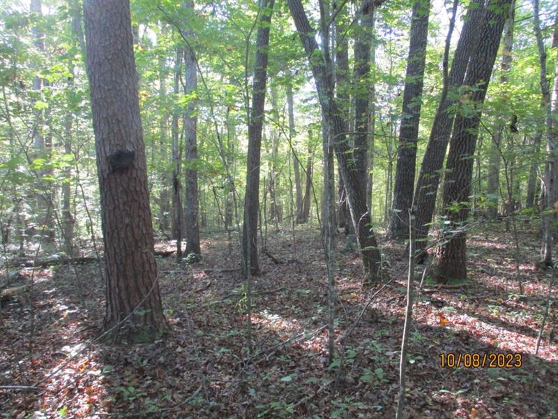 Private, Level, Great Location : Spencer : Van Buren County : Tennessee
