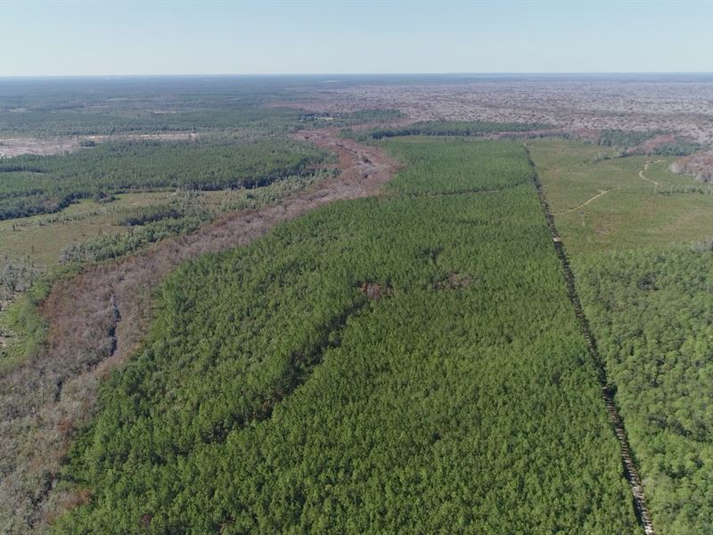 580 Acres of Recreation Land : Ebro : Bay County : Florida